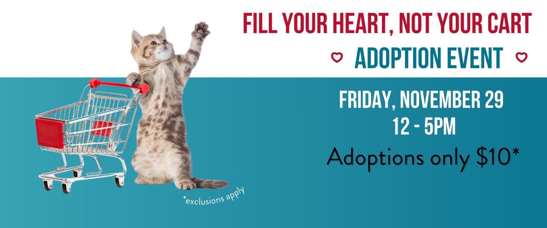 Fill Your Heart Not Your Cart Black Friday Adoption Event. $10 Adoptions