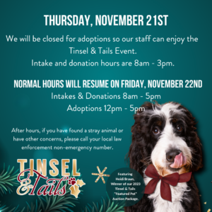 We will be closed for adoptions on Thursday November 21st so that staff can enjoy the Tinsel & Tails Event