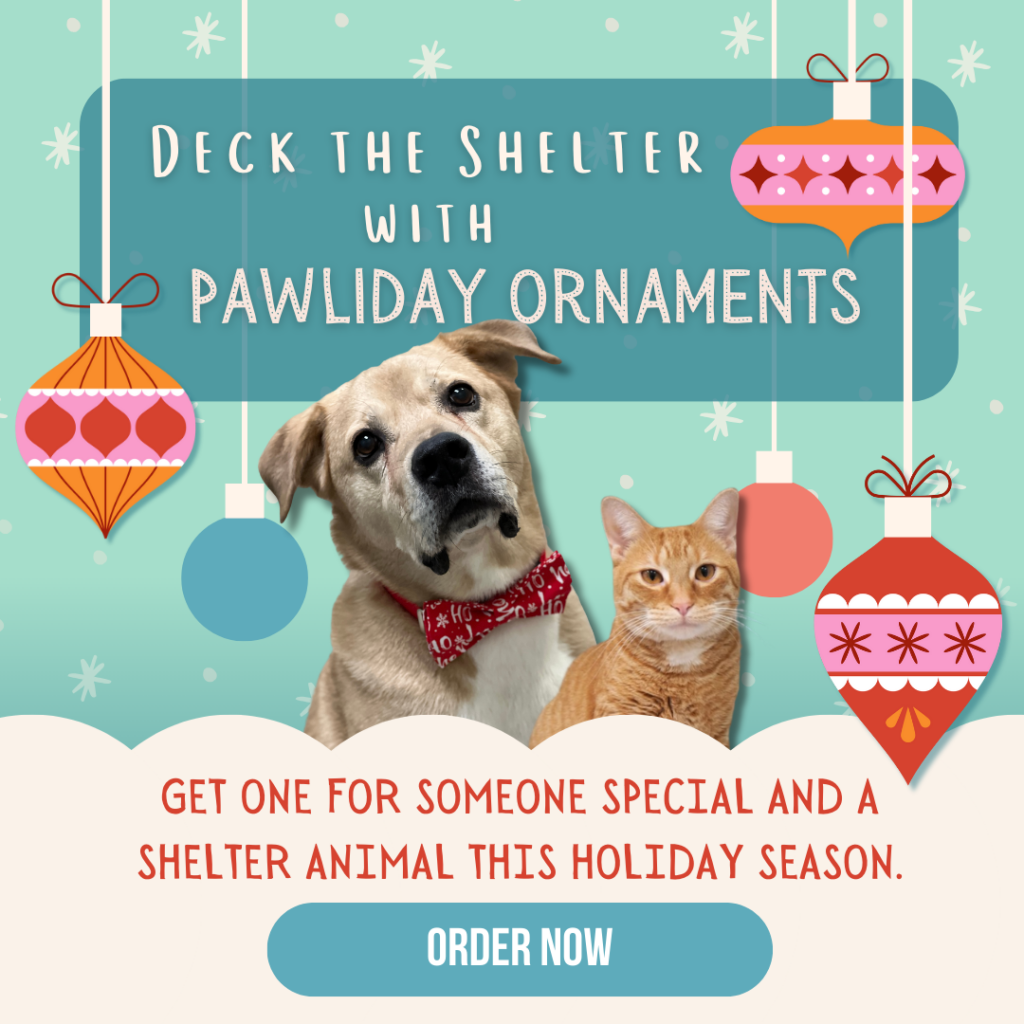 Deck the shelter with pawliday ornaments, get one for someone special and a shelter animal this holiday season